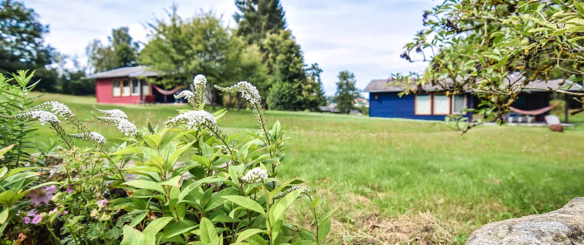 Home 3 Sommer im bayerischen Wald